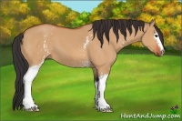 Horse Color:White Spotted Bay Dun