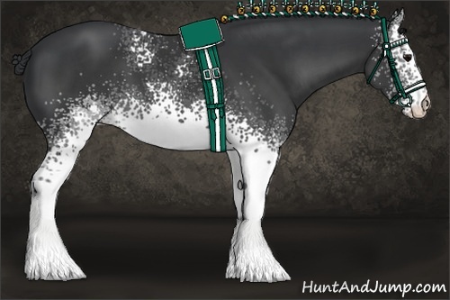 Horse Color:White Spotted Black 