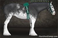 Horse Color:White Spotted Black