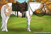Horse Color:White Spotted Silver Bay Dun Tobiano