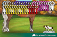 Horse Color:Silver Bay Sabino Tobiano