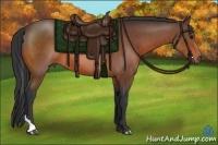 Horse Color:Bay Tobiano 