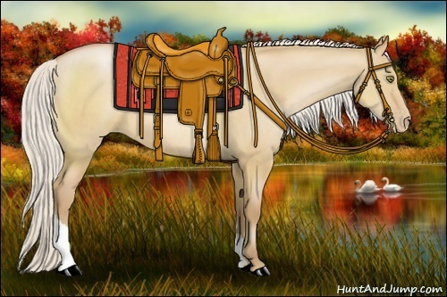 Horse Color:Silver Bay Pearl Dun Tobiano 