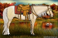 Horse Color:Silver Bay Pearl Dun Tobiano 