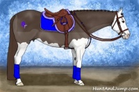 Horse Color:Liver Chestnut Splash 