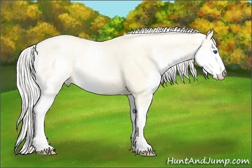 Horse Color:Silver Amber Cream Champagne Ice Pearl Splash