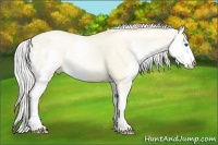 Horse Color:Silver Amber Cream Champagne Ice Pearl Splash 