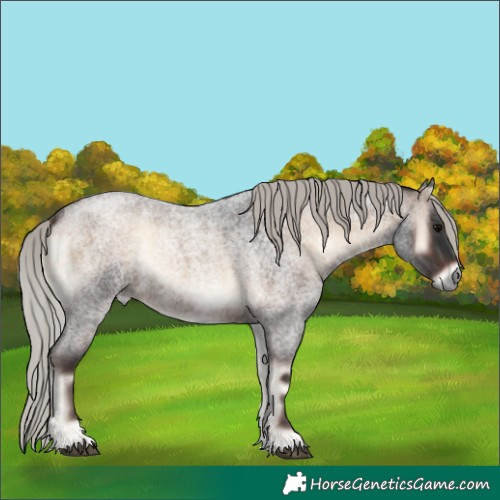 Horse Color:Silver Brown Roan Onyx 