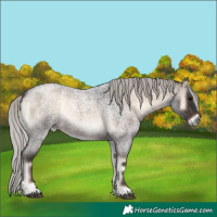Horse Color:Silver Brown Roan Onyx 