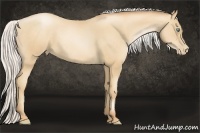 Horse Color:Silver Sable Champagne Pearl 