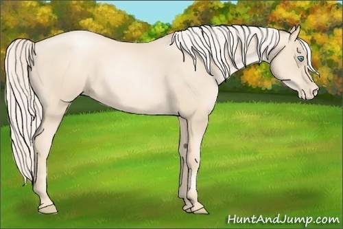 Horse Color:Gold Cream Champagne Pearl 