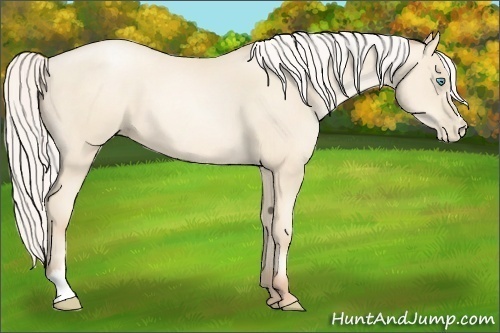 Horse Color:Silver Amber Cream Champagne Pearl 