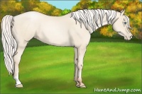 Horse Color:Silver Amber Cream Champagne Pearl