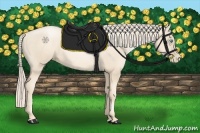 Horse Color:Gold Cream Champagne Pearl 