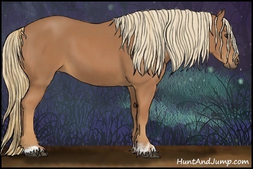 Horse Color:Chestnut  and Chestnut 