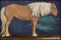 Horse Color:Chestnut and Chestnut