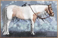 Horse Color:Bay Tobiano  and Bay Tobiano 