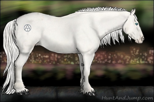 Horse Color:Cremello Varnish