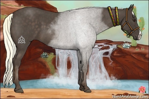 Horse Color:Liver Red Roan 