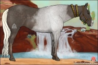 Horse Color:Liver Red Roan 