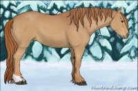 Horse Color:Chestnut Tobiano