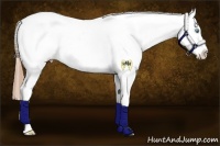 Horse Color:Buckskin Pearl Dun Appaloosa