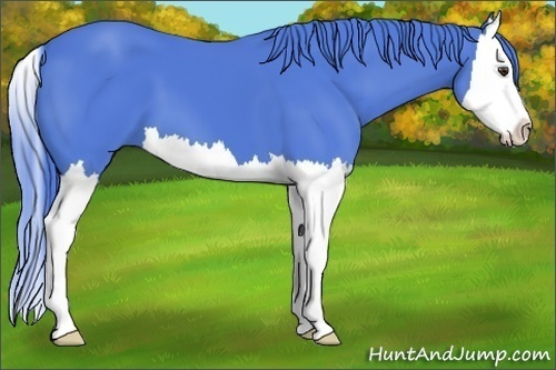 Horse Color:Watercolor Liver Chestnut Splash 