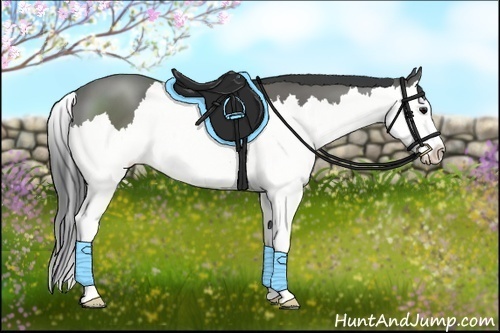 Horse Color:Black Sabino Splash 