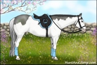 Horse Color:Black Sabino Splash 