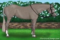 Horse Color:Silver Grullo Sabino
