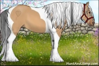 Horse Color:Bay Dun Tobiano 