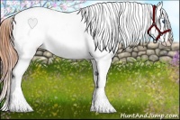 Horse Color:White Spotted Amber Champagne Splash Appaloosa