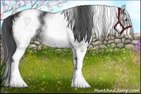 Horse Color:White Spotted Black
