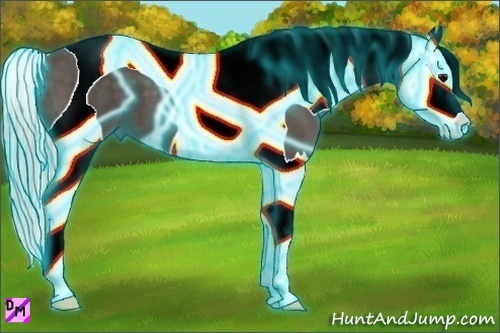 Horse Color:Thunderstruck Silver Black Splash Tobiano 