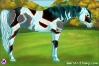 Horse Color:Thunderstruck Silver Black Splash Tobiano 