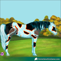 Horse Color:Thunderstruck Silver Black Splash Tobiano