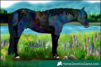 Horse Color:ERROR: UNKNOWN ANOMALY