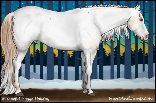 Horse Color:Chestnut Appaloosa 