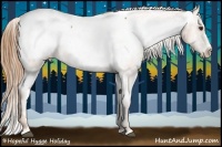 Horse Color:Chestnut Appaloosa