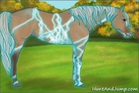 Horse Color:Thunderstruck Silver Bay Dun Frame