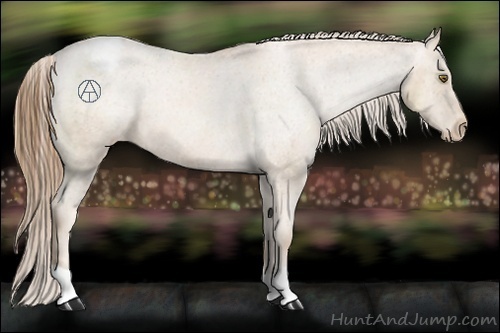 Horse Color:Liver Chestnut Pearl Appaloosa 