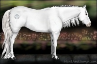 Horse Color:Silver Brown Roan Varnish Rabicano 