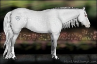 Horse Color:Silver Blue Chinchilla Roan Pearl 