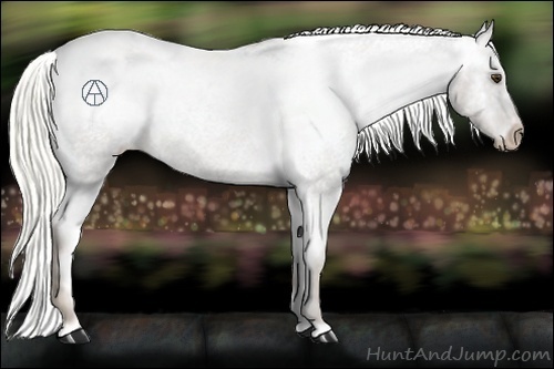 Horse Color:Liver Red Roan Mushroom Varnish Rabicano