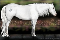 Horse Color:Liver Red Roan Mushroom Varnish Rabicano 