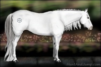 Horse Color:Liver Chestnut Snowflake Varnish