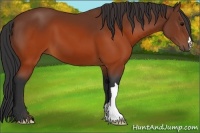 Horse Color:Brown 