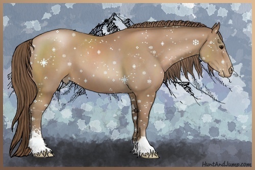 Horse Color:Black Pearl Sabino