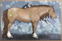 Horse Color:Black Pearl Sabino 