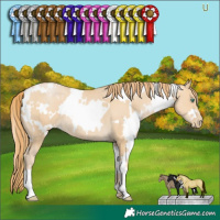 Horse Color:White Spotted Smoky Black Pearl 